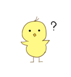 よく見かけるひよこちゃん（個別スタンプ：9）
