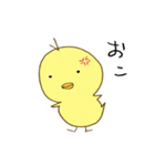 よく見かけるひよこちゃん（個別スタンプ：12）