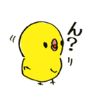 可愛くて変なひよこスタンプ（個別スタンプ：20）