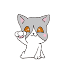 オレンジとハチワレ2（個別スタンプ：25）