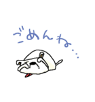 白いわんこ。くまちゃん♡（個別スタンプ：20）