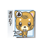 「犬かる」パート4（個別スタンプ：8）