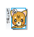 「犬かる」パート4（個別スタンプ：17）