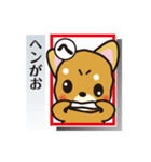 「犬かる」パート4（個別スタンプ：29）