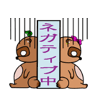 かわいいtanukiのお知らせスタンプ（個別スタンプ：38）