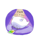 ニャー丸（個別スタンプ：37）