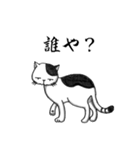 関西ローカル猫のベタな日常 Vol.2（個別スタンプ：5）