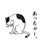 関西ローカル猫のベタな日常 Vol.2（個別スタンプ：17）