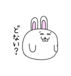 大阪のウサギ（個別スタンプ：24）