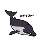 クジラとかイルカとかシャチとか（2）（個別スタンプ：8）