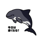 クジラとかイルカとかシャチとか（2）（個別スタンプ：9）