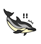 クジラとかイルカとかシャチとか（2）（個別スタンプ：29）