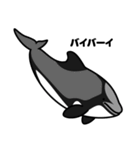 クジラとかイルカとかシャチとか（2）（個別スタンプ：38）