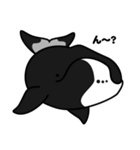 クジラとかイルカとかシャチとか（2）（個別スタンプ：40）