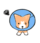 ころころコーギー（個別スタンプ：28）