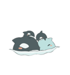 Orca and Dolphin（個別スタンプ：37）