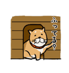 ニュアンス使い分けスタンプ（柴犬）（個別スタンプ：25）