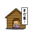 ニュアンス使い分けスタンプ（柴犬）（個別スタンプ：28）