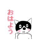 猫の瑠瑠(Llulue)です。（個別スタンプ：17）