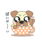 pug cup（個別スタンプ：7）