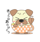 pug cup（個別スタンプ：11）