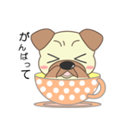 pug cup（個別スタンプ：14）