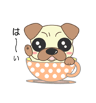 pug cup（個別スタンプ：16）