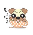 pug cup（個別スタンプ：21）