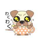 pug cup（個別スタンプ：22）