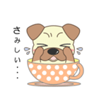 pug cup（個別スタンプ：24）