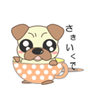 pug cup（個別スタンプ：32）