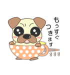 pug cup（個別スタンプ：35）