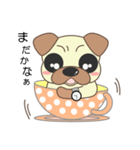 pug cup（個別スタンプ：36）