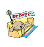 わんこのスタンプ（個別スタンプ：34）