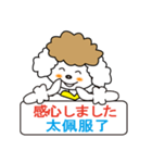 日本語と台湾華語(中国語の繁体字)日常会話（個別スタンプ：34）