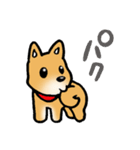 柴犬のしっぽ（個別スタンプ：19）