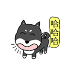 QQ puppy（個別スタンプ：10）