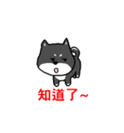 QQ puppy（個別スタンプ：11）