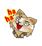 踊る猫（日常編）（個別スタンプ：6）