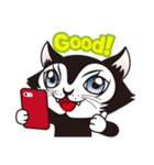 踊る猫（日常編）（個別スタンプ：17）