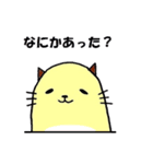 ぽちゃネコ。（個別スタンプ：24）