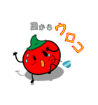 トマトの「トマピー☆」（個別スタンプ：19）