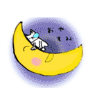 every day にゃんこ（個別スタンプ：2）
