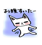 every day にゃんこ（個別スタンプ：4）