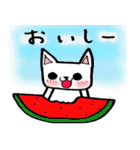 every day にゃんこ（個別スタンプ：8）