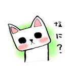 every day にゃんこ（個別スタンプ：16）