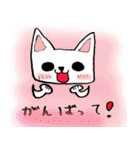 every day にゃんこ（個別スタンプ：19）