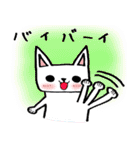 every day にゃんこ（個別スタンプ：25）