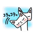 every day にゃんこ（個別スタンプ：26）
