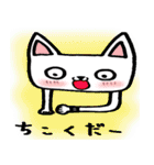 every day にゃんこ（個別スタンプ：28）